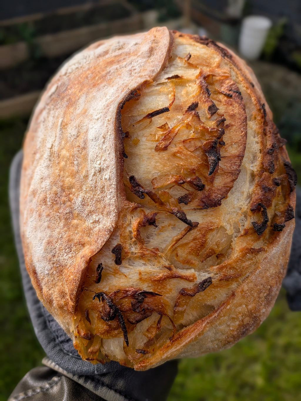 Signature Sourdough Bread