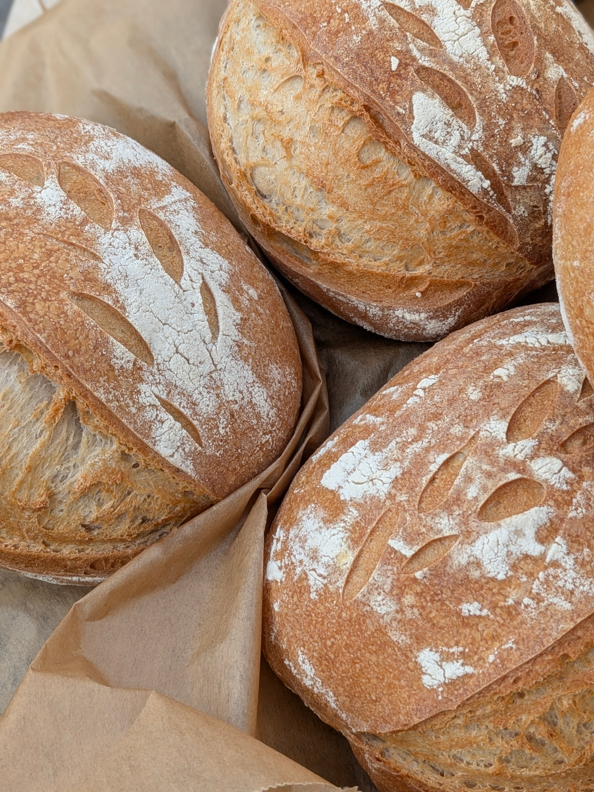 Signature Sourdough Bread